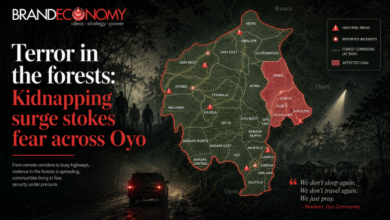 Terror in the forests: Kidnapping surge stokes fear across Oyo