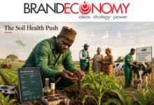 Soil Data, Smart Farming and Nigeria’s 10 Million Farmer Target