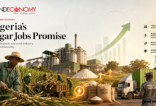 Nigeria’s Sugar Sector Can Create 1 Million Jobs, Reduce Imports and Tackle Insecurity — NSDC 