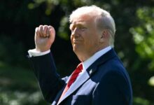 Trump Wins Interim Relief as Appeals Court Pauses Ruling Against Global Tariffs