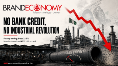 Nigeria manufacturing credit, MAN factory lending decline, bank credit to manufacturers 2025, Nigerian industrial revolution, manufacturing stabilisation fund, Bank of Industry finance, industrial policy Nigeria, high interest rates Nigeria, factory jobs Nigeria, affordable manufacturing loans