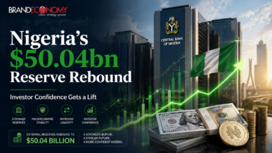 $50.04bn Reserves: CBN Gains Praise as Experts Call for Security, SME Support