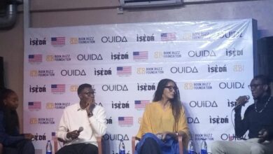 Nigeria’s Animation Industry Needs Investment and Stronger IP Protection to Scale