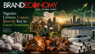 Nigeria’s Lithium, Copper and Bauxite: The New Blueprint for Green Industrialisation