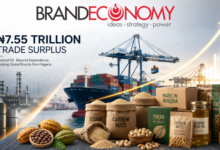 Beyond Crude: How Nigeria Can Turn a ₦7.55trn Trade Surplus Into Export Brand Power
