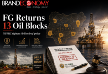 FG Returns 13 Oil Blocks to Bid Basket, Enforces ‘Drill or Drop’ Policy