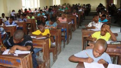 2026 Common Entrance: 10 Candidates Top Nigeria’s Unity Schools Exam with 202 Marks