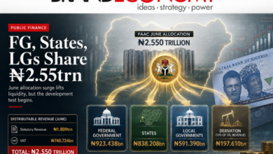 ₦2.55trn FAAC Windfall: Nigeria’s Revenue Surge Raises Stakes for Businesses, Economy and Growth