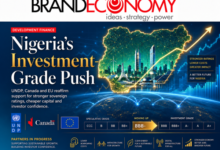 Nigeria Targets Investment-Grade Rating with UNDP, Canada and EU Support