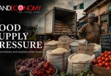 Nigeria Faces Rice, Tomato Shortages as Food Supply Pressures Build