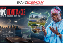 Tinubu Seeks Diaspora Funds for Infrastructure, Enterprise and Innovation
