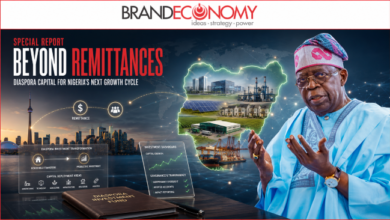 Tinubu Seeks Diaspora Funds for Infrastructure, Enterprise and Innovation