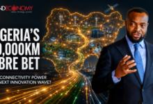 Nigeria’s 90,000km Fibre Bet: Can Project BRIDGE Turn Connectivity into Innovation?