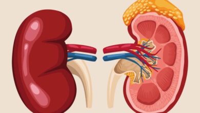 Kidney Economy: Nigeria’s race to outrun organ traffickers