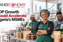 GDP Growth Accelerates, but Nigeria’s MSMEs Need a Fairer Deal