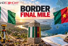 24 Years After ICJ Judgment, Nigeria-Cameroon Border Demarcation Enters Final Mile