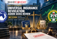 Why NAICOM’s Universal Insurance Licence Revocation Needs Review - ASHON