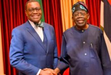 Ex-AfDB Boss Adesina Meets Tinubu, Offers Support to Convert Reforms into Prosperity