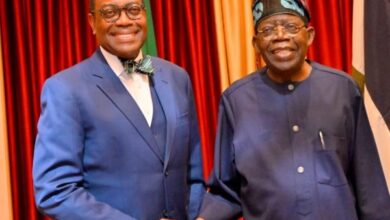 Ex-AfDB Boss Adesina Meets Tinubu, Offers Support to Convert Reforms into Prosperity