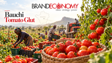 Bauchi Tomato Glut Pushes Prices Down as Bumper Harvest Exposes Nigeria’s Post-Harvest Challenge