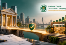 NCGC loans, National Credit Guarantee Company, Nigeria credit guarantees, MSME financing Nigeria, business loans, collateral-free finance, GuaranteeHer, women-owned businesses, financial inclusion, development finance