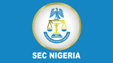 SEC Targets ₦750trn Capital Market by 2036: The Real Growth Test