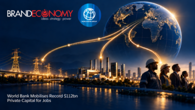 World Bank Mobilises Record $112bn Private Capital for Jobs